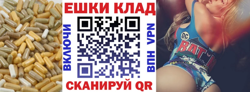 Купить закладки  Питкяранта  Ecstasy бентли 