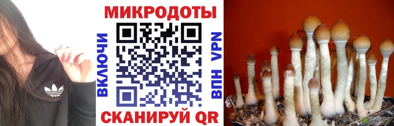 Купить где  Питкяранта  Псилоцибиновые грибы прущие грибы 
